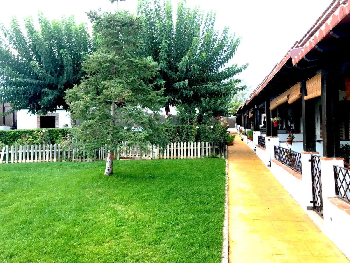 Apartamento Rural Villa Aurora Luque ภายนอก รูปภาพ